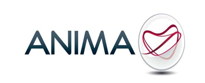 Come vendere o comprare azioni Anima Holding online?